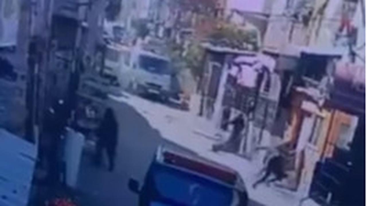 Rekaman Video Bukti Kejahatan Pasukan Israel