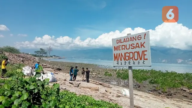 Pusat penanaman mangrove di lokasi Pantai Dupa, Palu