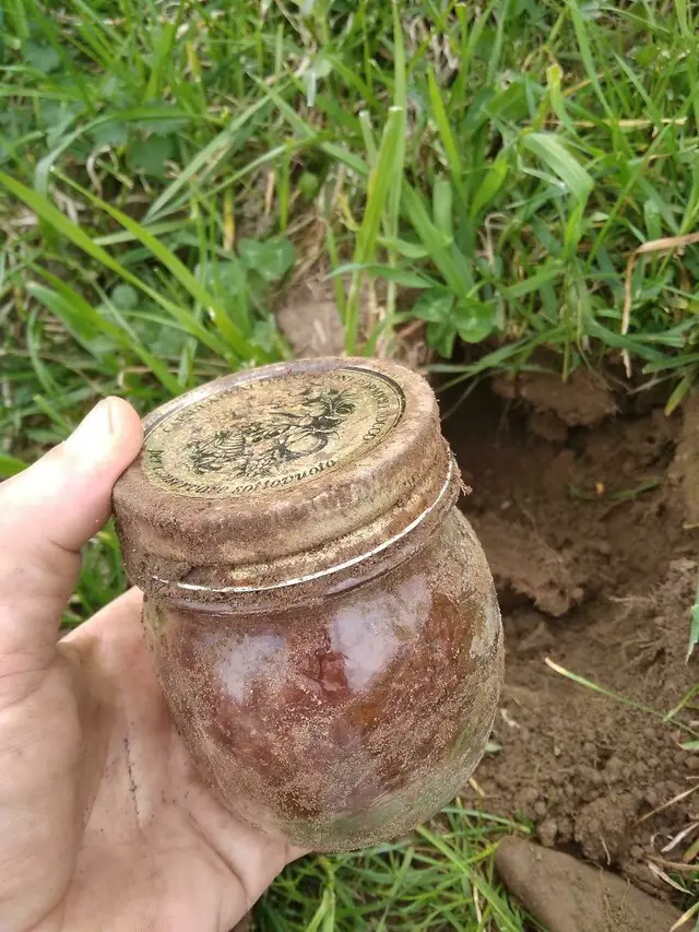 6 Temuan Benda Logam Ini Bernilai Jual Tinggi, Ada yang Terkubur Ratusan Tahun