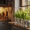 Hidroponik Tanaman Herbal di Jendela Rumah/Gemini AI