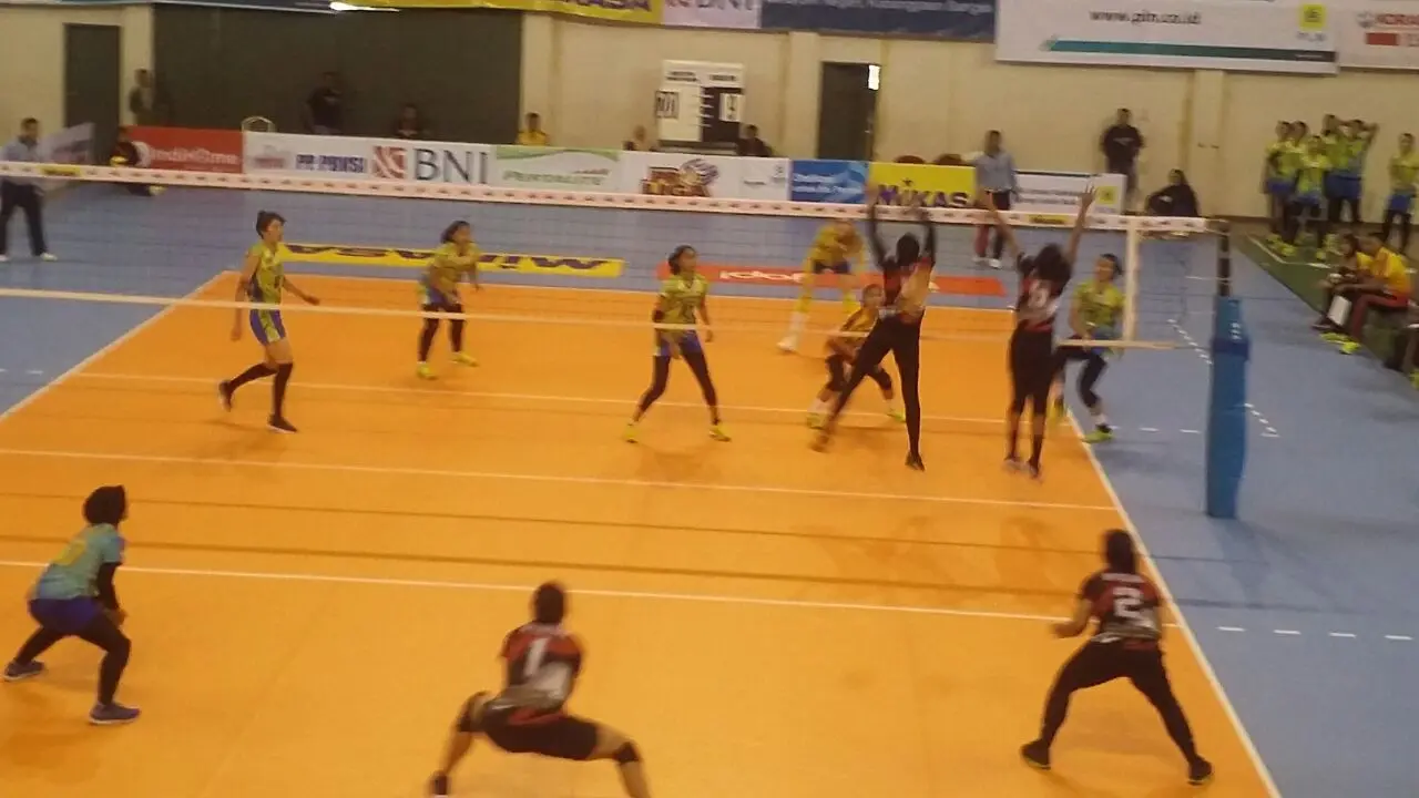 Proliga 2018
