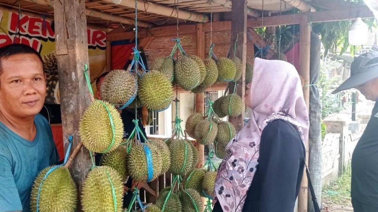 Musim Panen Tiba, Pedagang Raup Omzet Puluhan Juta dari Jualan Durian Badui di Rangkasbitung