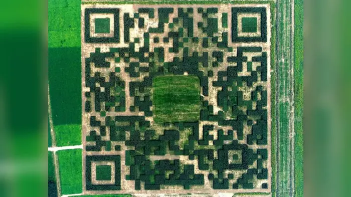 Kode QR raksasa di desa Xilinshui, Provinsi Hebei, China (Xinhua)