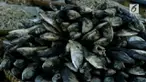 Situasi ini disebabkan harga garam yang melonjak seratus persen.