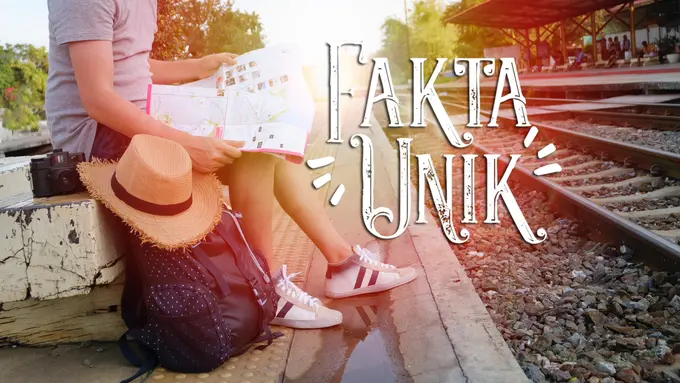 [Bintang] Fakta Unik