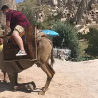 Tak kuat menahan berat badan Gilang Dirga, seekor onta tersungkur (Instagram/@gilangdirga)