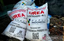 Terungkap 2.039 Kios Pupuk Nakal Curangi Petani, Mentan Pastikan Stok Aman Jelang Musim Tanam!