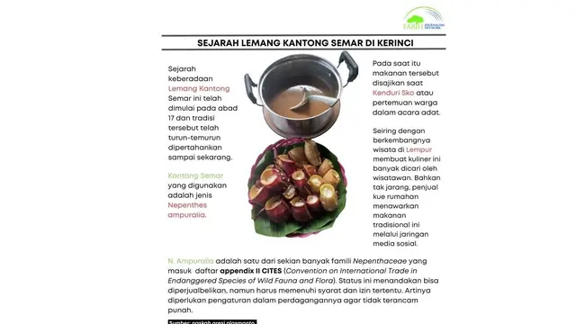 Infografis Kantong Semar