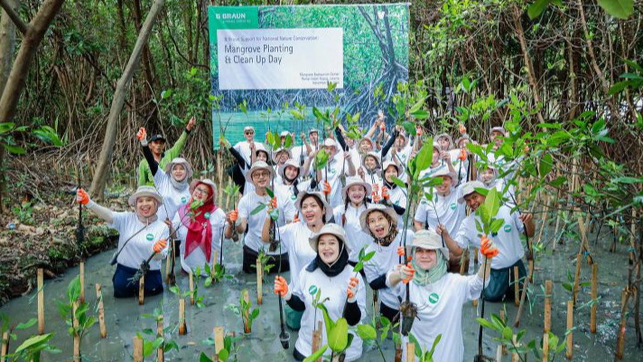 Tanam Mangrove, Investasi Lingkungan Jangka Panjang untuk Generasi Masa Depan