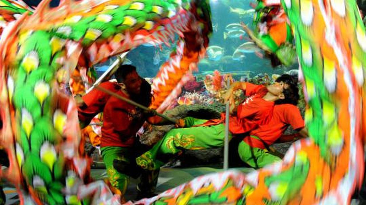 Atraksi Liong dan Barongsai hibur pengunjung Sea World Ancol