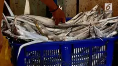 Para nelayan mampu mengehasilkan puluhan juta rupiah dalam satu harinya.
