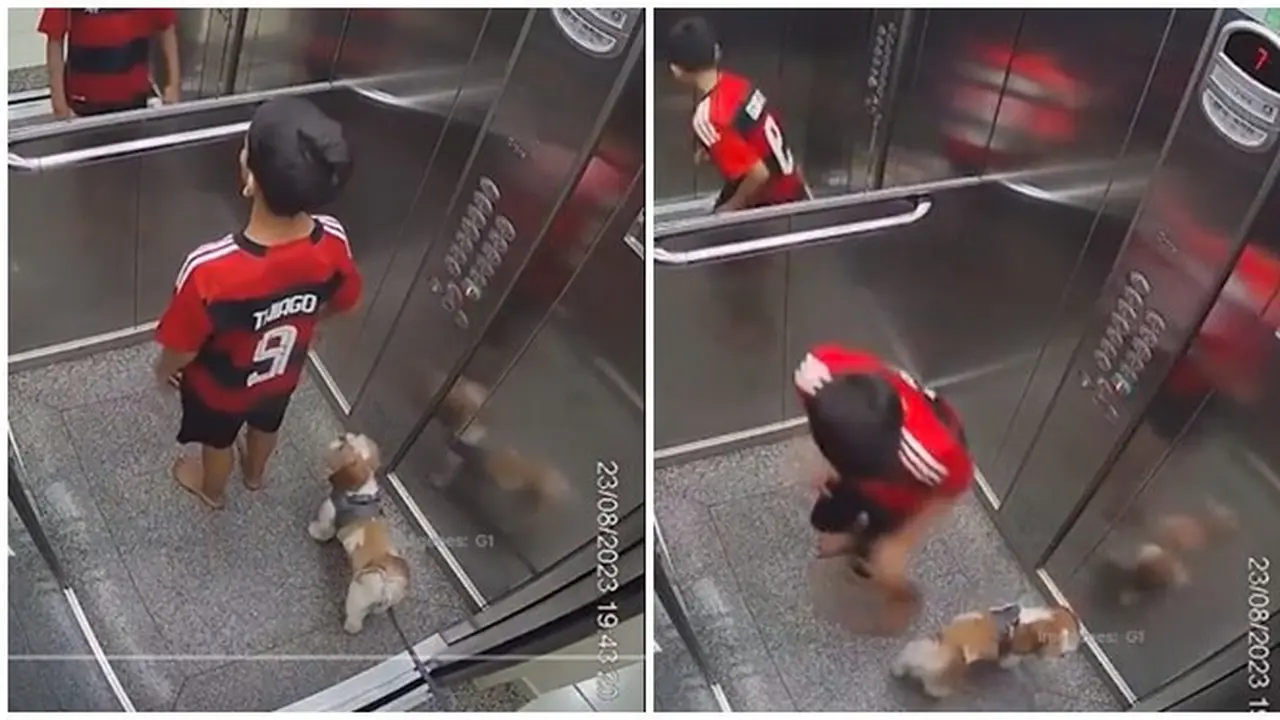 Aksi Bocah Selamatkan Anjing Peliharaan yang Terjebak di Lift Ini Banjir Apresiasi