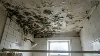 Cara Mengatasi Black Mold di Plafon Kamar Mandi, Aman dan Ampuh Tak Muncul Lagi