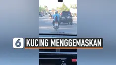 thumbnail kucing motor