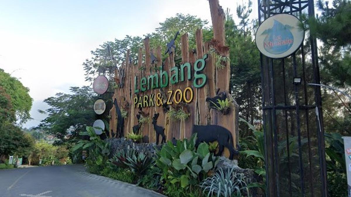 Lembang Park Zoo Tutup Sementara Usai Heboh Macan Tutul Lepas
