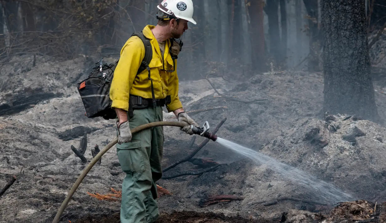 <p>Seorang petugas pemadam kebakaran bekerja untuk menahan api Cedar Creek di sebelah timur Oakridge, Oregon, Senin (12/9/2022). Selain itu, hampir 6.500 warga lainnya diperintahkan untuk &ldquo;disiapkan&rdquo; mengungsi. (Photo by Dan Morrison/AFP)</p>