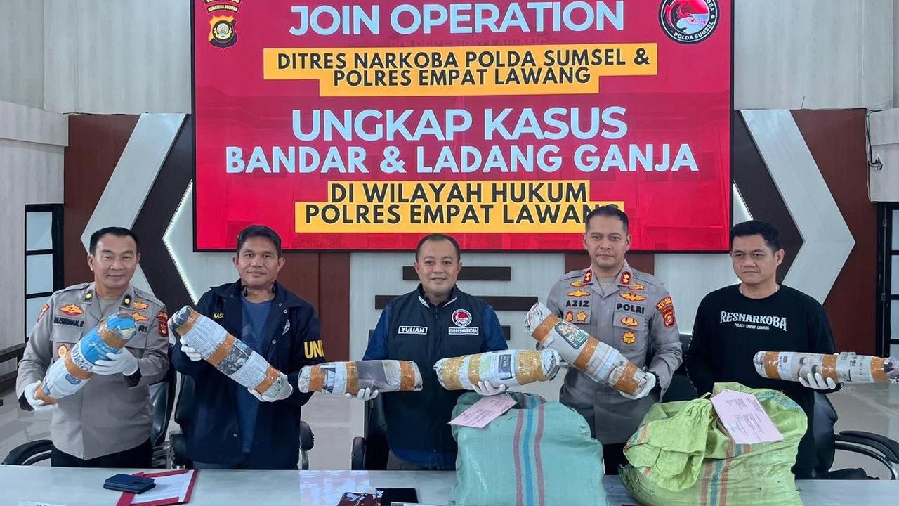FOTO: Polda Sumsel Bongkar Ladang Ganja 20 Hektar di Empat Lawang