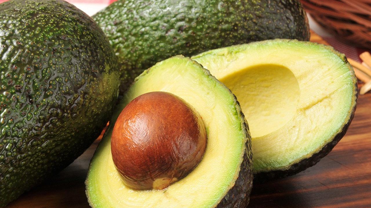 manfaat biji alpukat