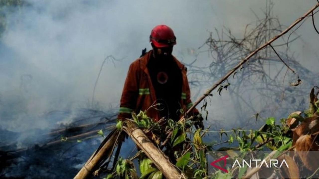 Kaltim Dikepung Api, 9.861 Titik Panas Terdeteksi