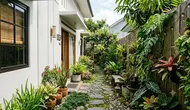 Cara Memanfaatkan Lorong Sempit di Samping Rumah untuk Menanam Sayuran dan Tanaman Hias