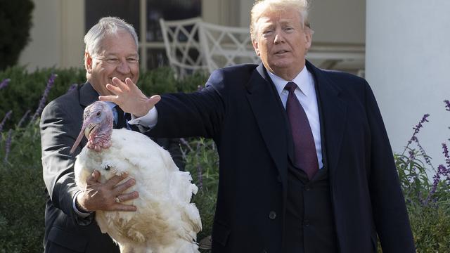 Presiden Trump Ampuni Kalkun di Hari Thanksgiving