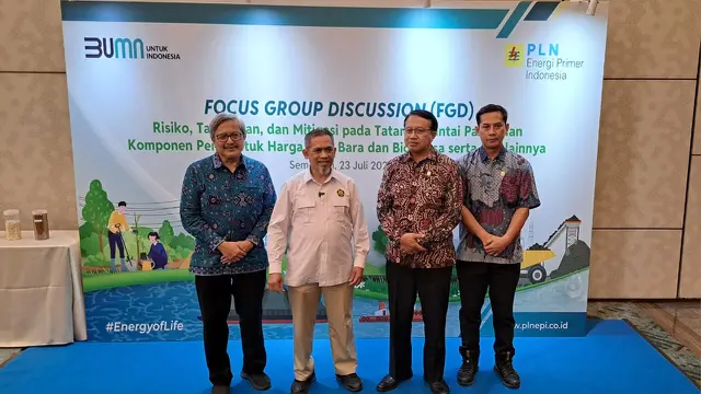 fgd pln