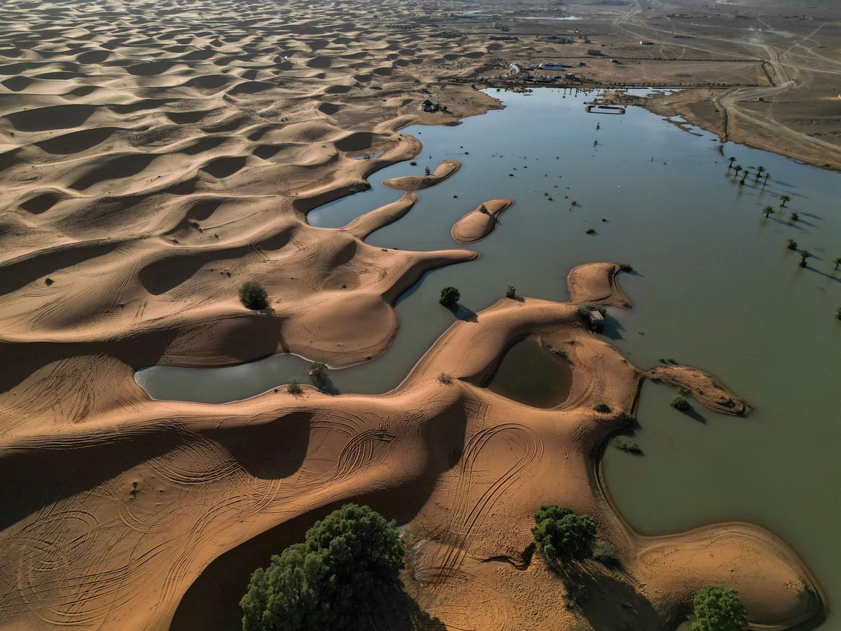 Penampakan Gurun Sahara Dilanda Banjir Langka