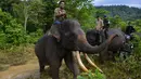 Polisi militer Indonesia dan penjaga taman nasional dibantu gajah jinak melakukan patroli keliling hutan di kawasan hutan Ulue Masen, provinsi Aceh, Sabtu (27/4/2019). Patroli keliling tersebut guna menjaga kelestarian alam dan satwa liar dari ancaman kepunahan. (CHAIDEER MAHYUDDIN/AFP)