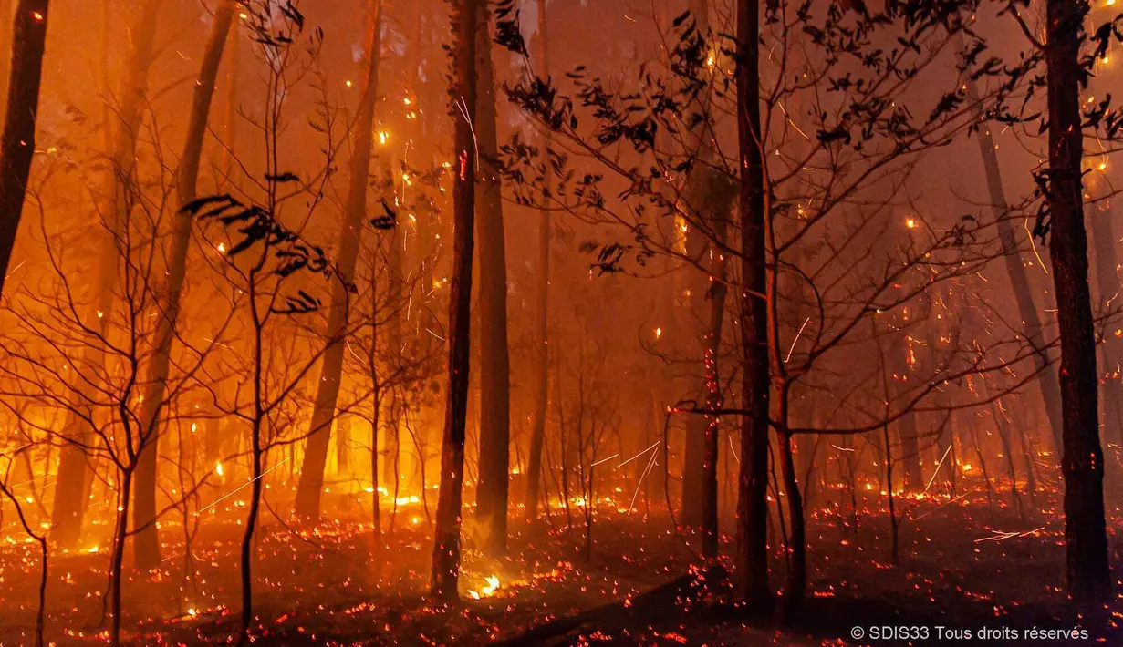Pemandangan kebakaran hutan dekat Landiras, Prancis barat daya, 17 Juli 2022. Petugas pemadam kebakaran berjuang melawan kebakaran hutan yang berkobar di luar kendali di Prancis dan Spanyol ketika Eropa layu di bawah gelombang panas luar biasa ekstrem. (SDIS 33 via AP)