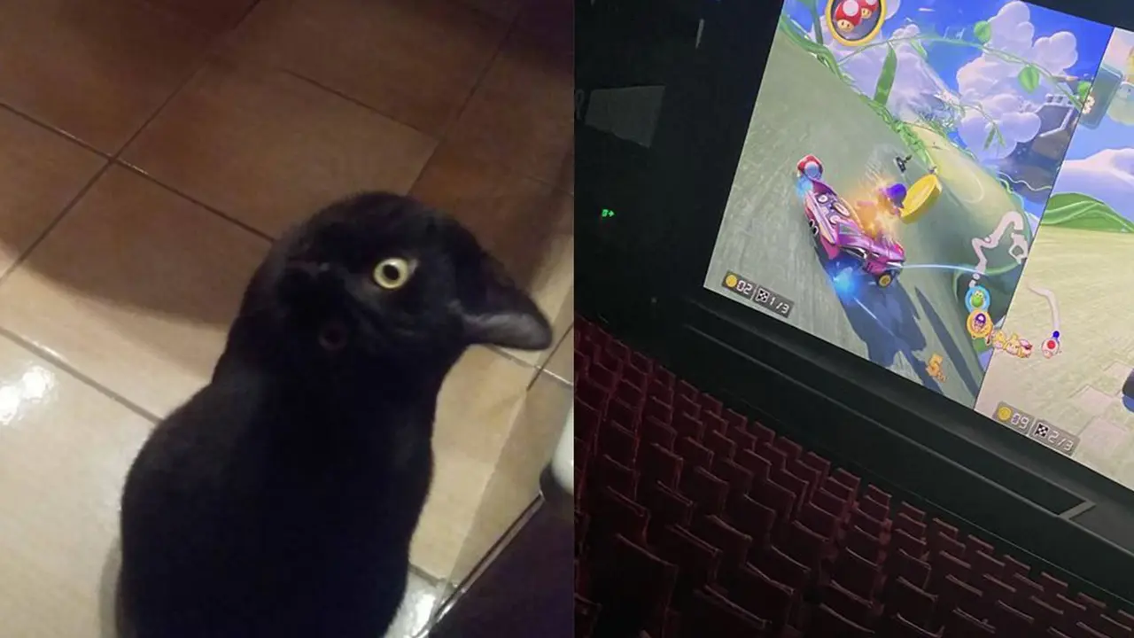 ilusi optik