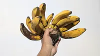 Diet bagi Pasien Anemia Defisiensi Besi, Ini Daftar Makanan yang Disarankan