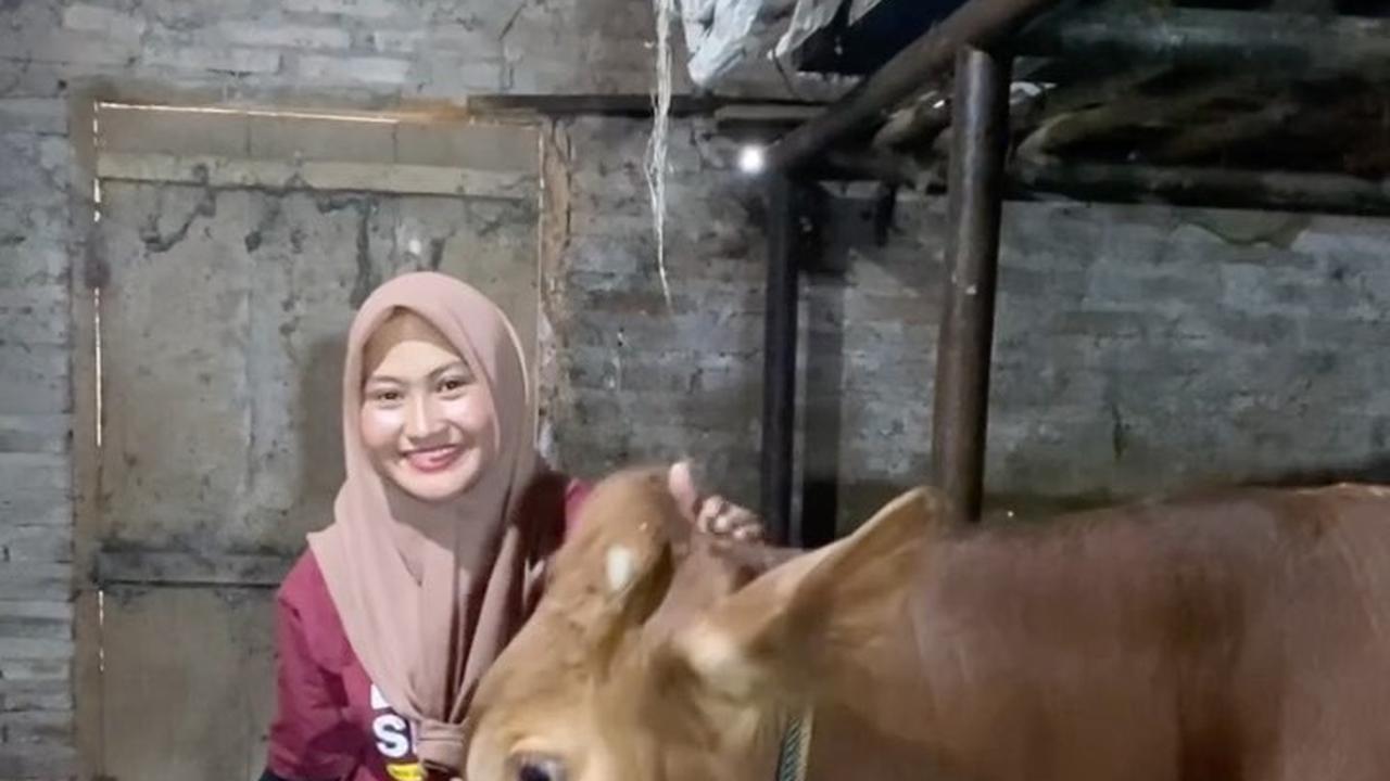 Kandang Sapi