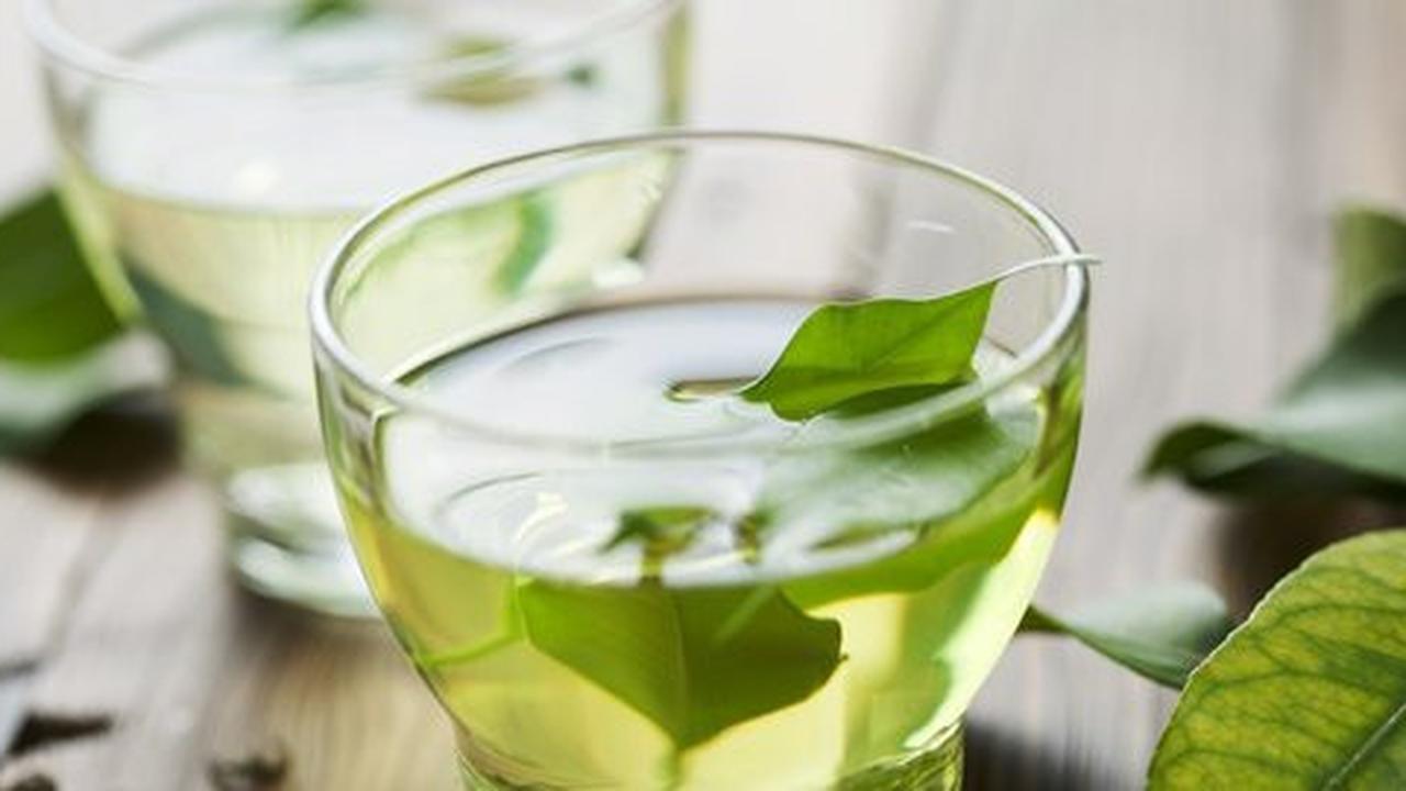 Minum teh hijau