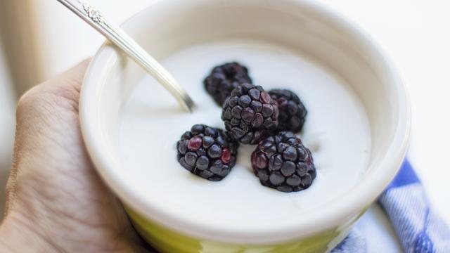 Ilustrasi yoghurt