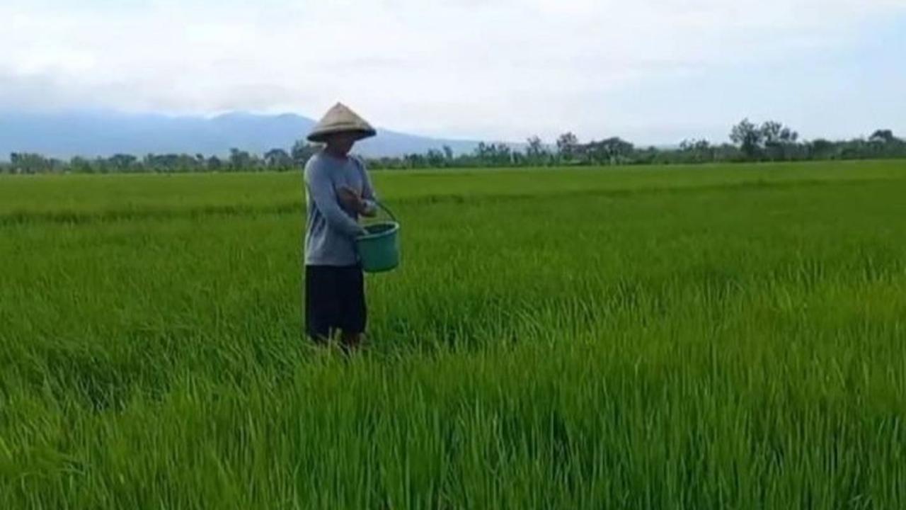 OECD Prediksi Pertumbuhan Ekonomi Indonesia di Angka 4,9% pada 2025