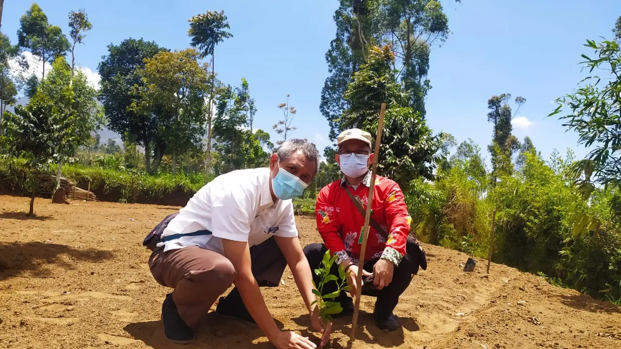 Direktur Bina Usaha Kehutanan Perhutanan Sosial dan Kemiteraan Lingkungan, Kementerian Lingkungan Hidup dan Kehutanan, Herudoyo Ciptono, tengah melakukan penanaman bibit pohon di salah satu area petani kelompok tani di Garut, Jawa Barat.