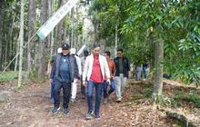 Hutan Pinus Jambi: Dari Destinasi Bersejarah Hingga Sumber Peningkatan PAD