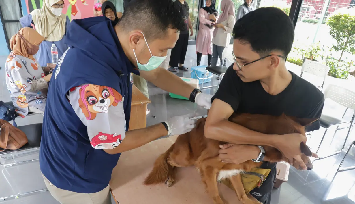 Untuk diketahui, program vaksinasi rabies gratis untuk anjing dan kucing rutin diadakan oleh pemerintah daerah atau dinas terkait sebagai bagian dari program pencegahan penyakit rabies. (merdeka.com/Arie Basuki)