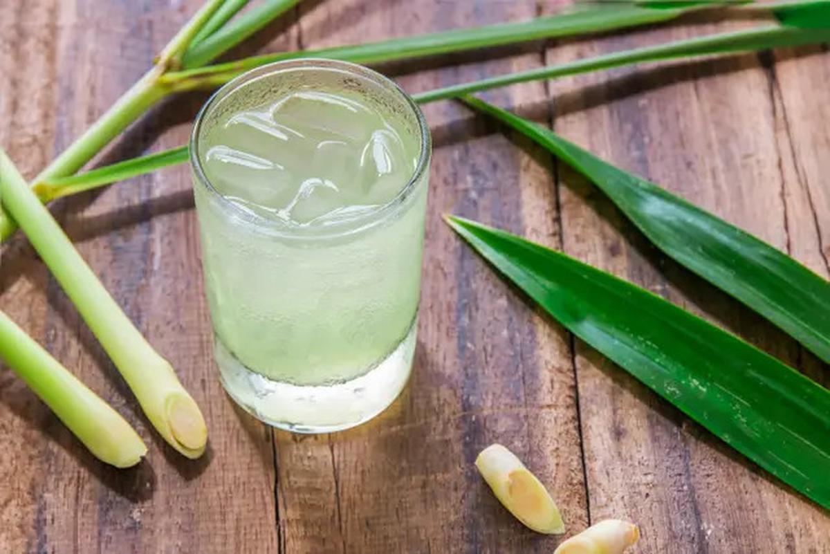 Dari Pekarangan Rumah, Emak-Emak Ini Buktikan Produk dari Tanaman Herbal Laku Keras di Pasaran