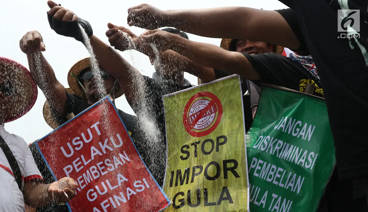 Perwakilan petani tebu menebarkan gula rafinasi saat berunjuk rasa di sekitar depan Istana Negara, Jakarta, Selasa (16/10). Mereka menuntut pemerintah menyetop impor gula karena dinilai merugikan petani. (Liputan6.com/Helmi Fithriansyah)