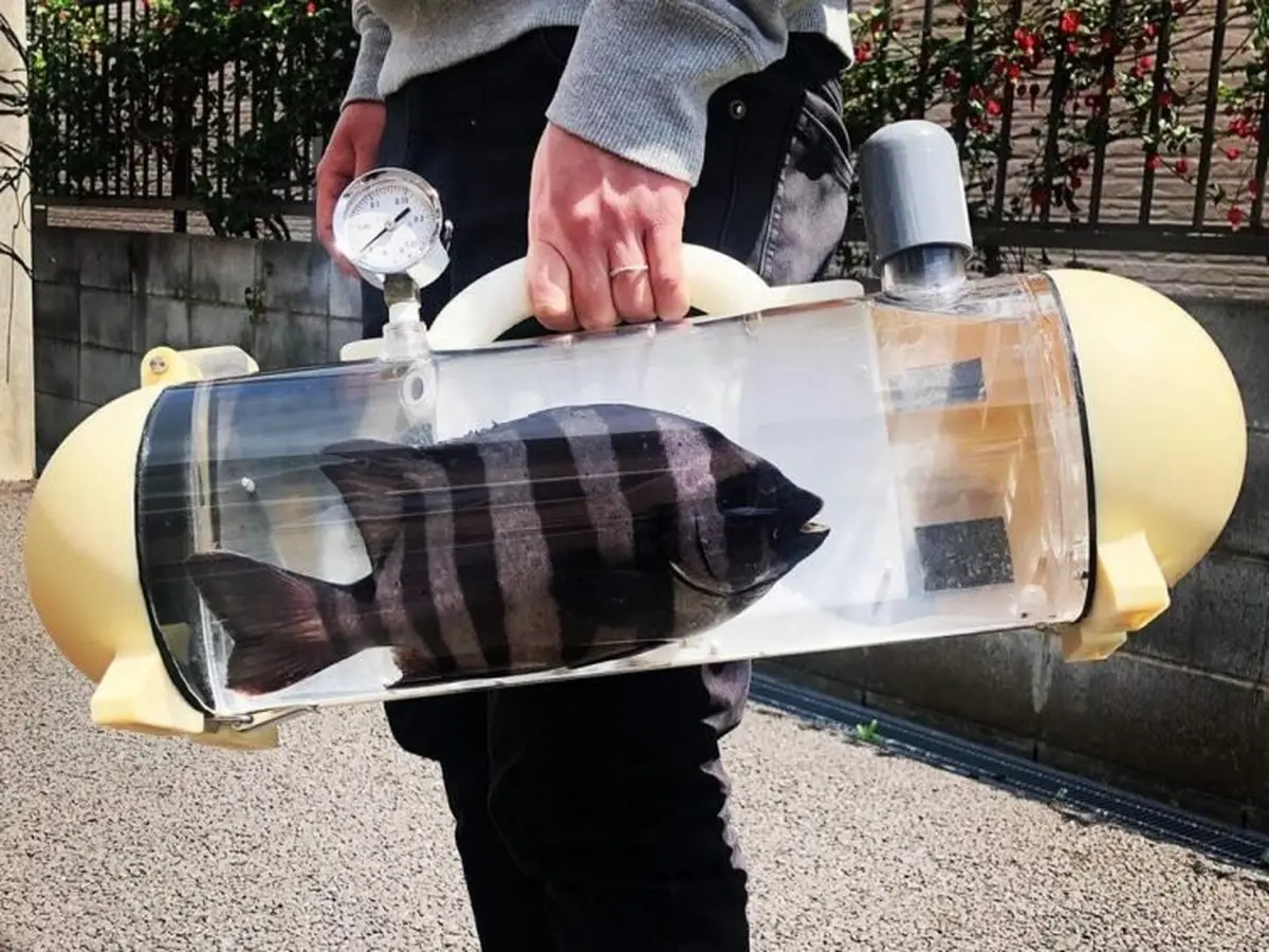 olahraga luar ruangan reel memancing portabel membawa tas penangkap ikan  terbang tahan air