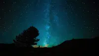 Ilustrasi malam hari. (Gambar oleh Free-Photos dari Pixabay)