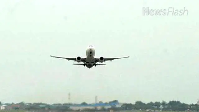 Pesawat Kargo Hilang Kontak di Papua Tim SAR Segera Lakukan Pencarian