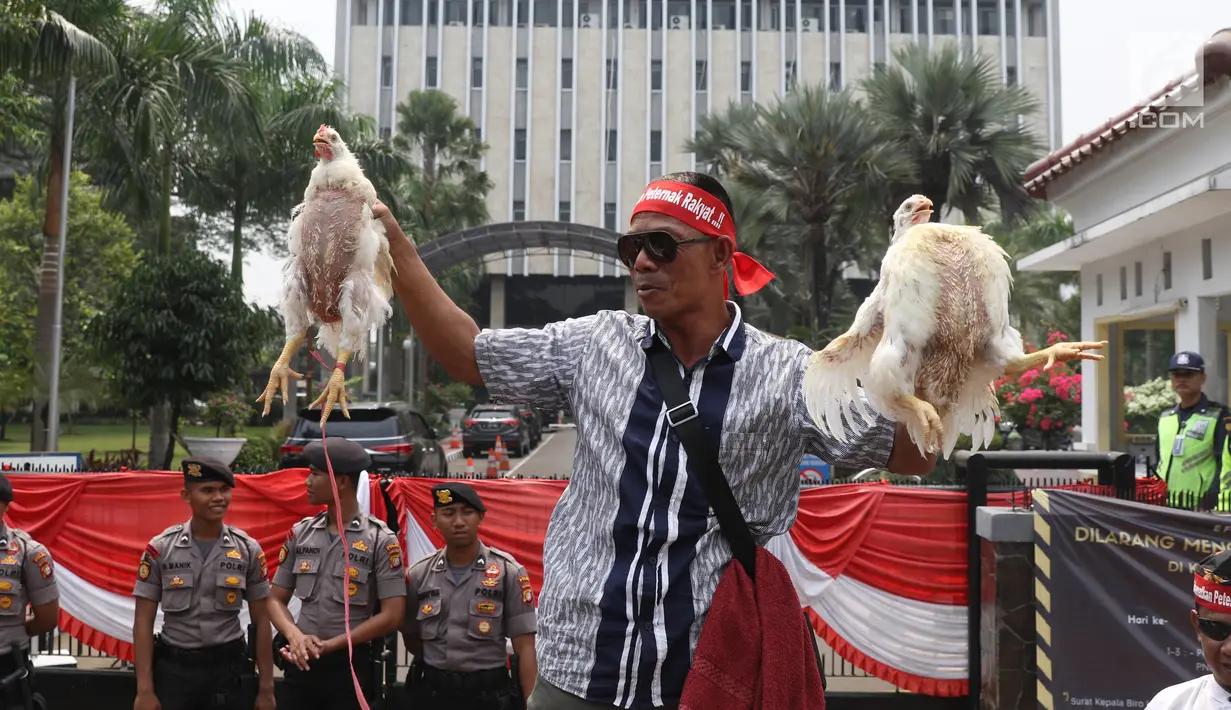 Peternak membawa ayam dalam aksi di depan Kementerian Koordinator Bidang Perekonomian, Jakarta, Kamis (5/9/2019). Ratusan peternak ayam menuntut pemerintah turun tangan menyelesaikan permasalahan harga ayam hidup di tingkat peternak yang kembali anjlok. (Liputan6.com/Angga Yuniar)