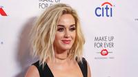 Katy Perry (Willy Sanjuan/Invision/AP)