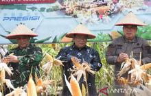 Kubu Raya Optimalkan Lahan Luas untuk Dorong Pengembangan Jagung dan Ketahanan Pangan Nasional