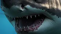 Guys in India Beat Giant Shark to Death for Revenge