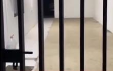 Polisi Ungkap Identitas Terduga Pelaku Pencambukan di KPPG Bogor