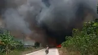 Kebakaran Lapak Kayu Merambat Hanguskan Lahan di Mesuji