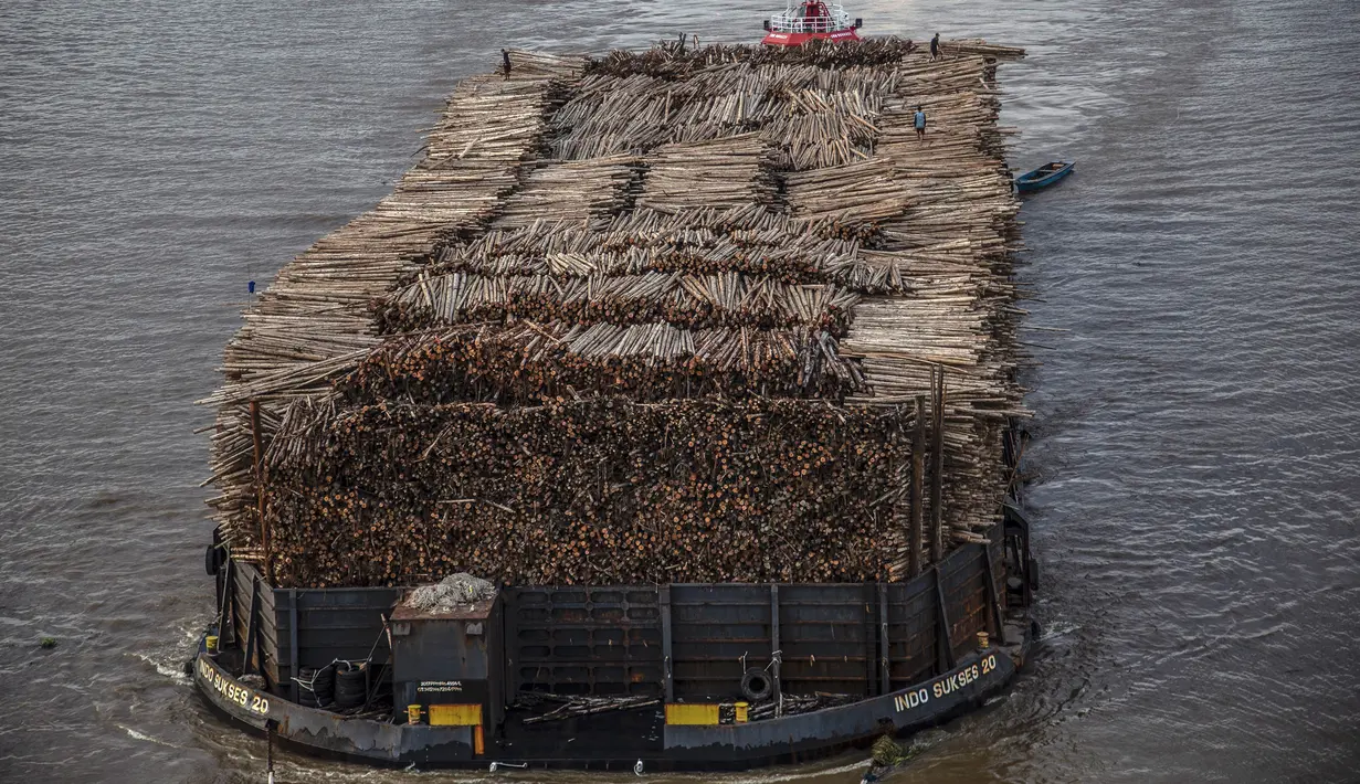 Sebuah kapal tongkang berisi kayu gelondongan ditarik di sepanjang Sungai Mahakam melewati Kota Samarinda, Kalimantan Timur, 4 November 2021. (ADITYA AJI/AFP)